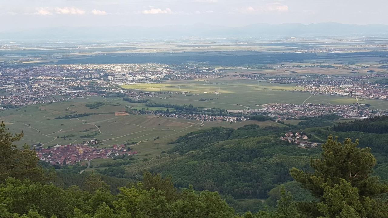 Les Iris Chambres D'Hote Niedermorschwihr Buitenkant foto