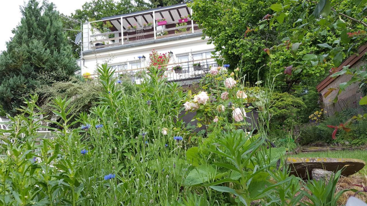 Les Iris Chambres D'Hote Niedermorschwihr Buitenkant foto